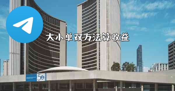 大小单双方法算收益