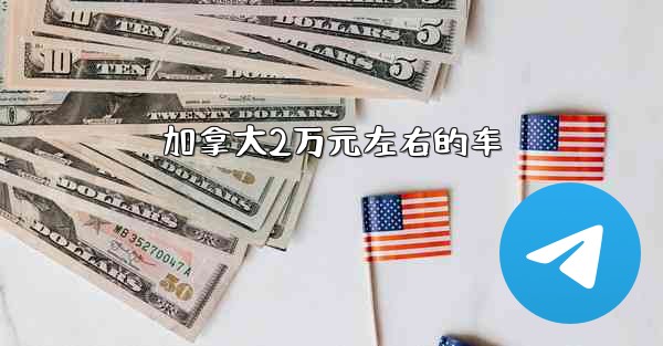 加拿大2万元左右的车