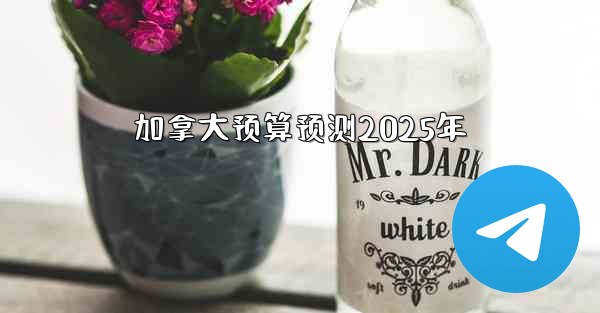 加拿大预算预测2025年