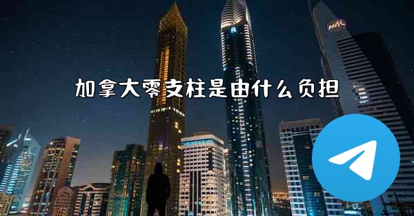 加拿大零支柱是由什么负担