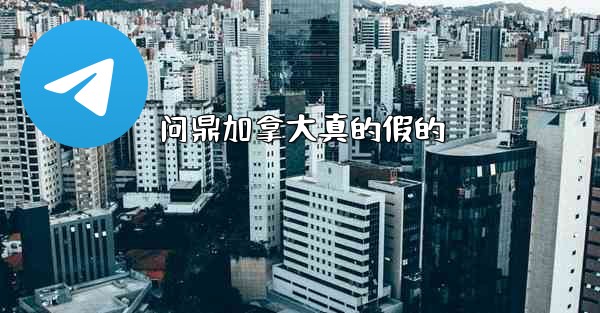 问鼎加拿大真的假的