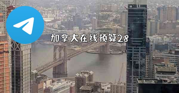 加拿大在线预算28