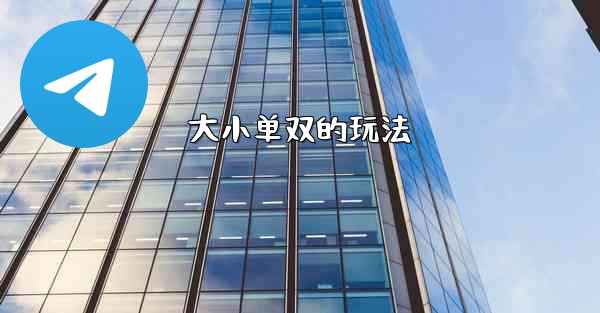 大小单双的玩法