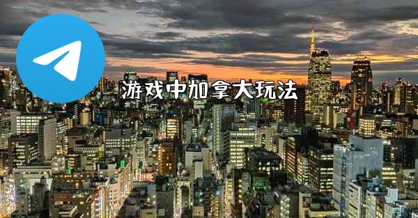 游戏中加拿大玩法