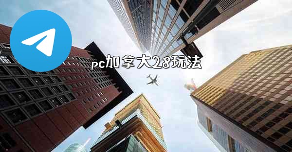 pc加拿大28玩法